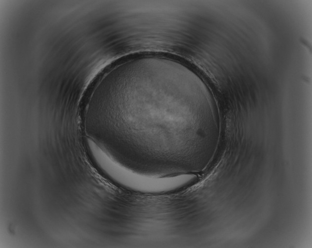 X0000093240926200710171437