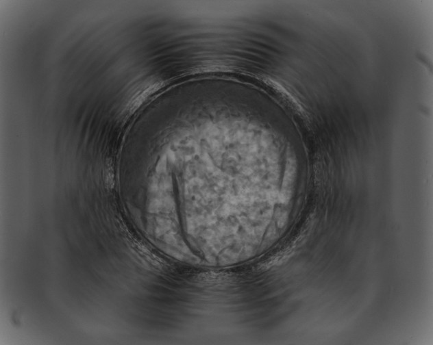 X0000093240929200710171438