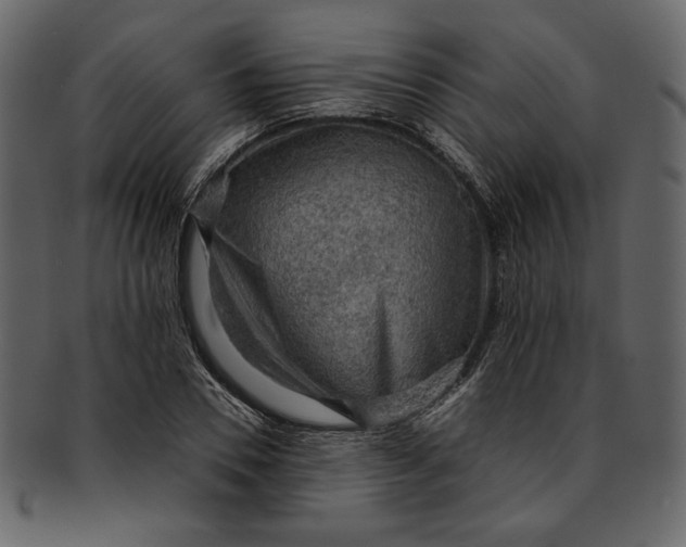 X0000093240930200710171438