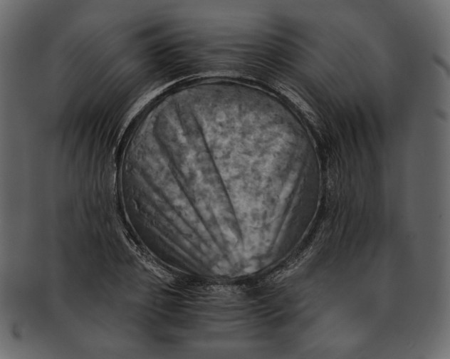 X0000093240933200710171438