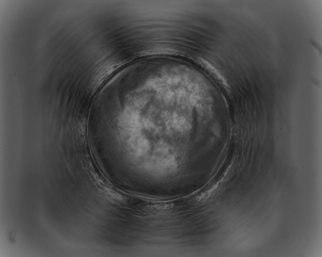 X0000093240937200710171438