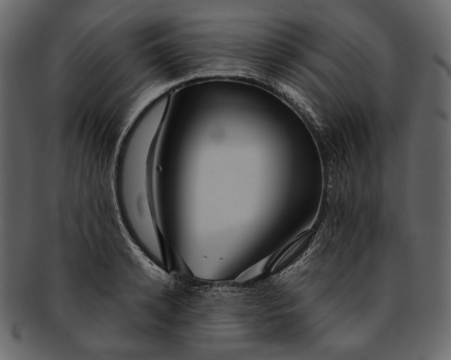 X0000093240942200710171438