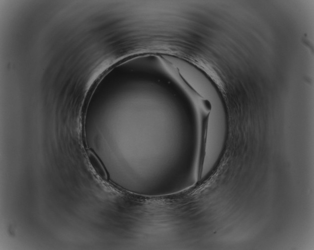 X0000093240944200710171438