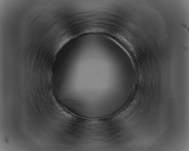 X0000093240945200710171438