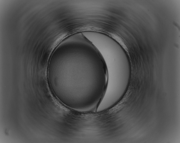 X0000093240946200710171438