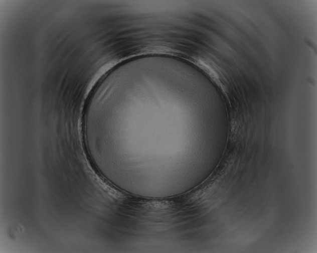 X0000093240947200710171438