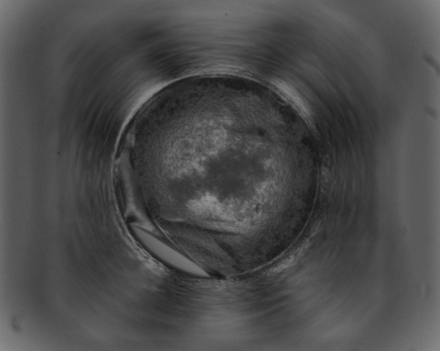 X0000093240948200710171438