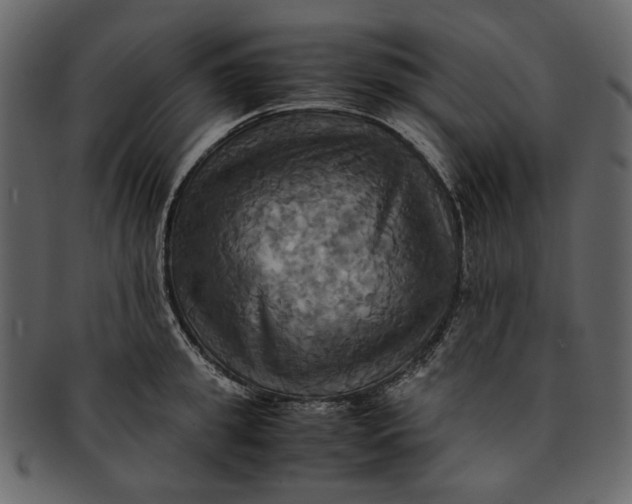 X0000093240949200710171438