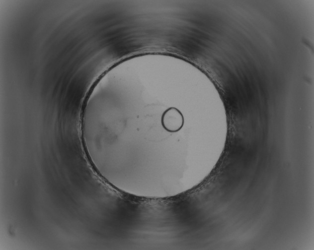 X0000093240950200710171438