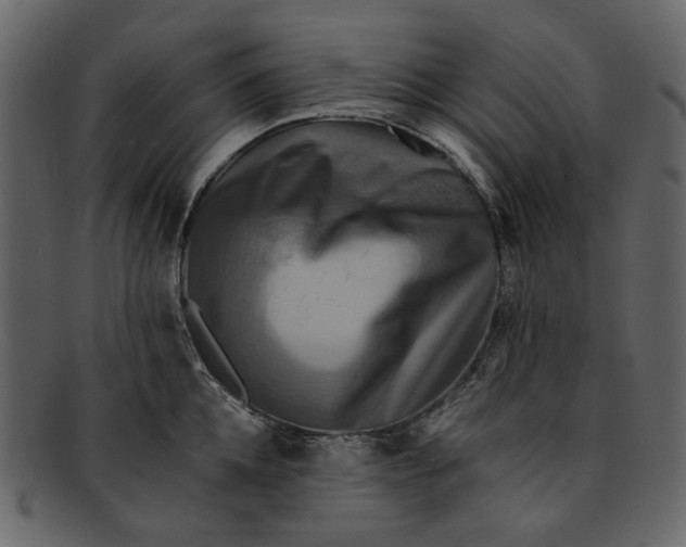 X0000093240952200710171438