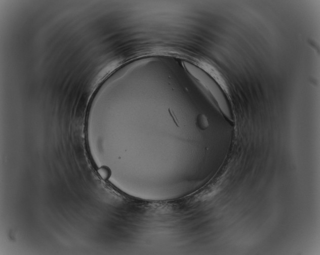 X0000093240954200710171438