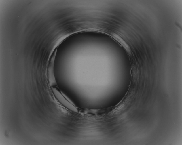 X0000093240956200710171438