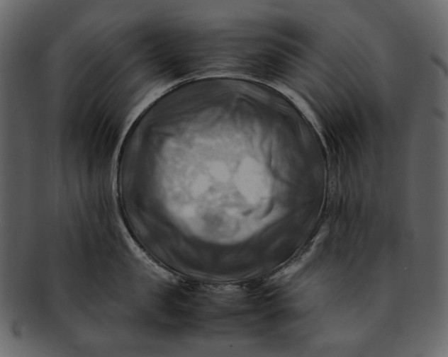 X0000093240957200710171438