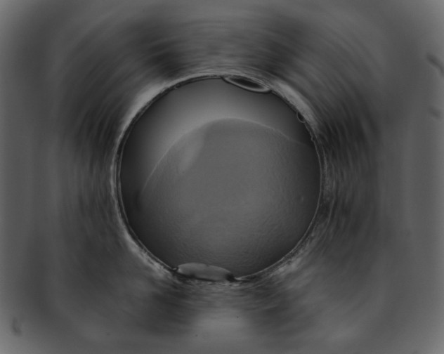 X0000093240958200710171438