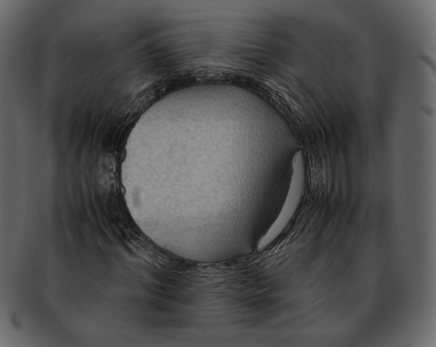 X0000093240964200710171437