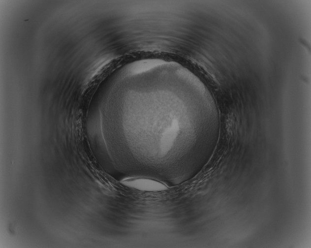 X0000093240968200710171437