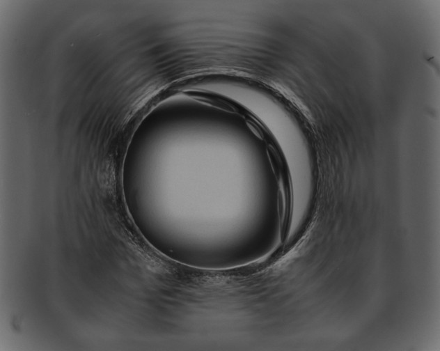 X0000093240969200710171437