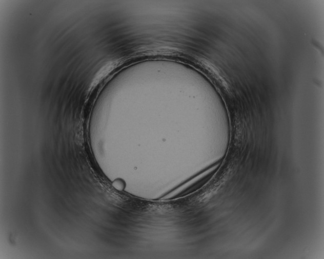 X0000093240978200710171437