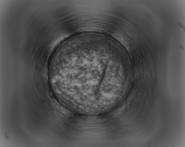 X0000093240979200710171437