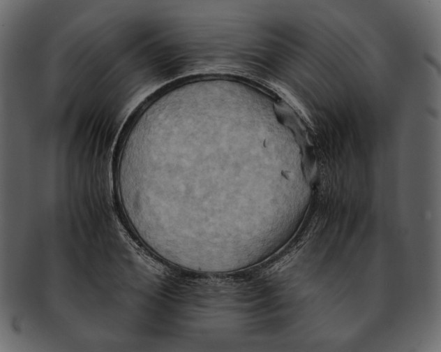 X0000093240980200710171437