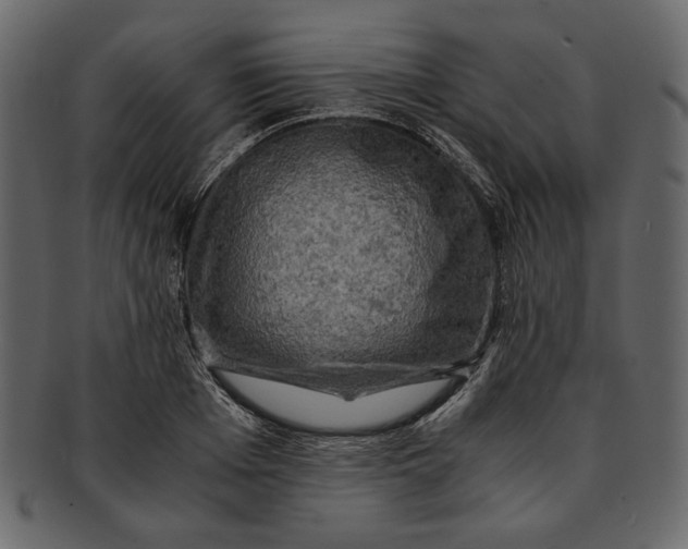 X0000093240985200710171437