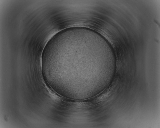 X0000093240988200710171437