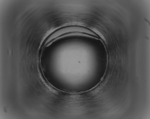 X0000093240989200710171437