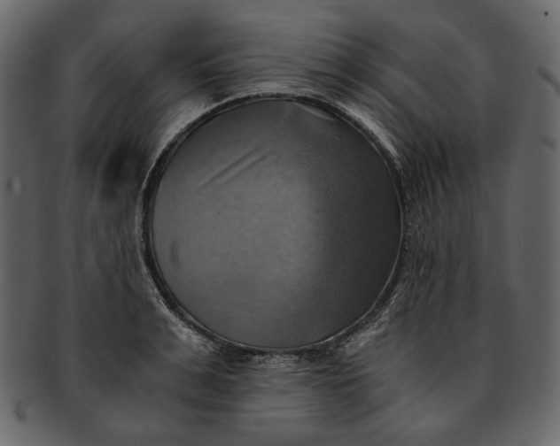 X0000093240991200710171437