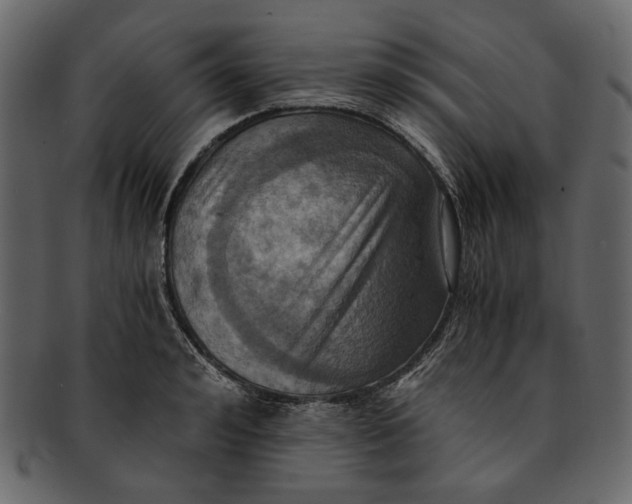 X0000093240992200710171437