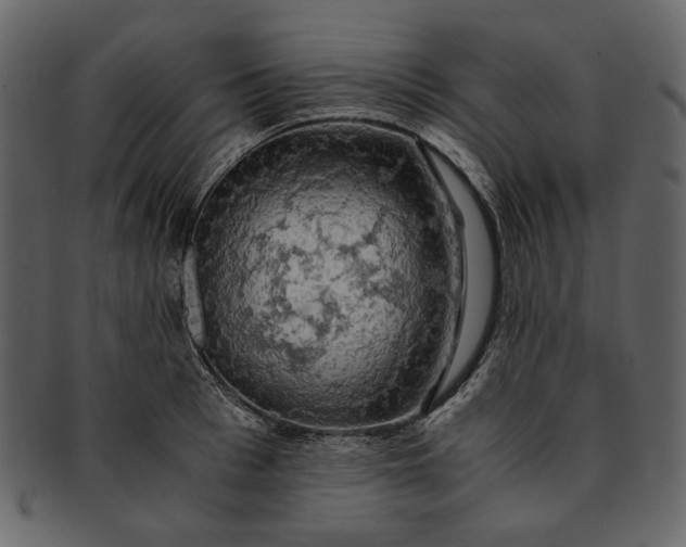 X0000093240993200710171437