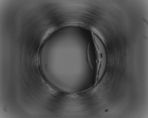 X0000093240994200710171437