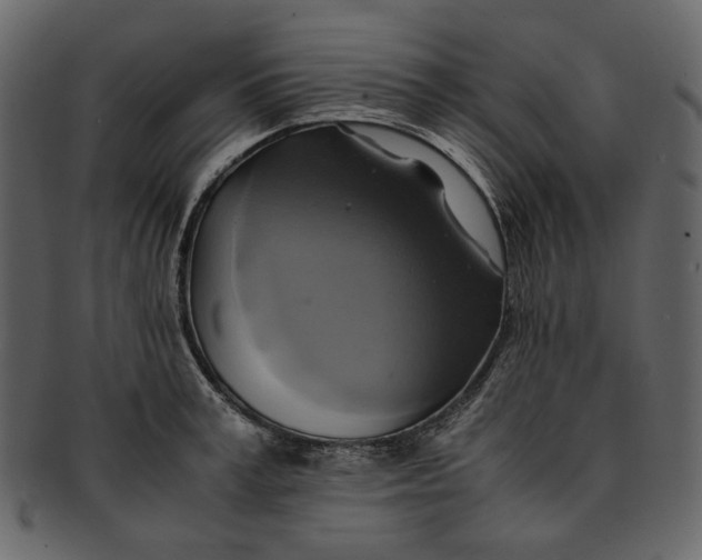 X0000093240995200710171437