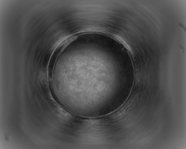 X0000093240996200710171437