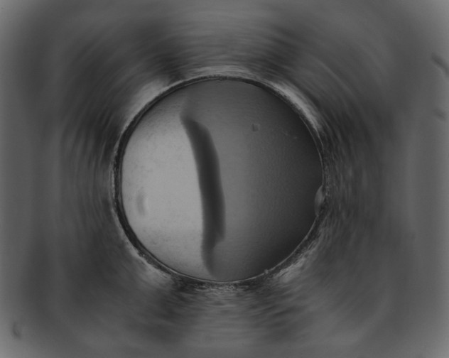 X0000093240999200710171437