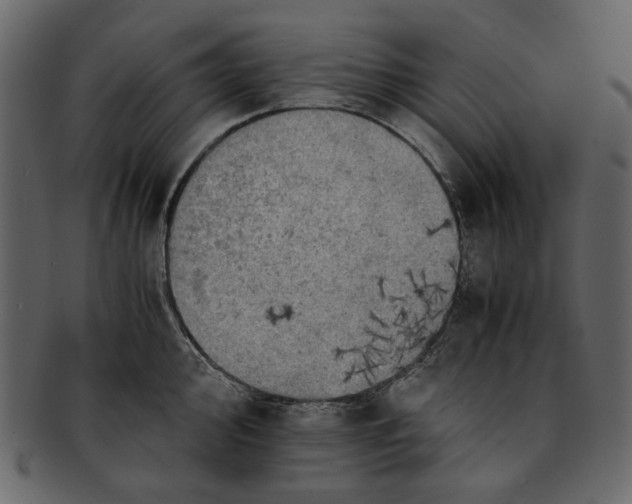 X0000093241000200710171437