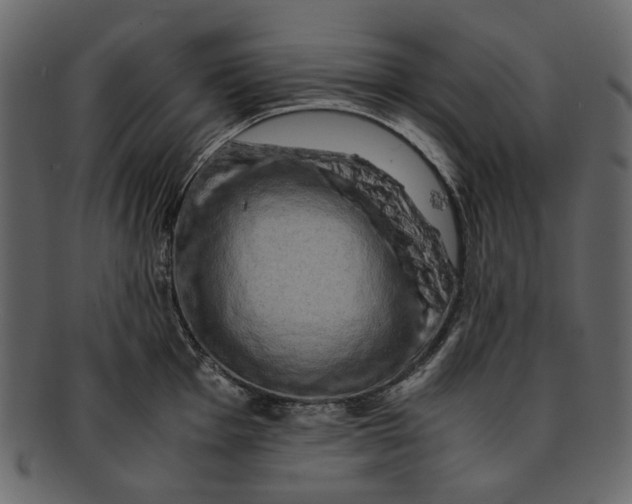 X0000093241001200710171437