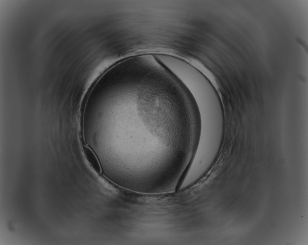 X0000093241005200710171437