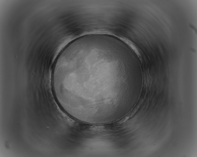 X0000093241006200710171437