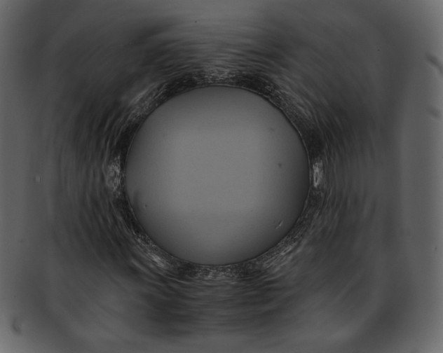 X0000093241011200710171436