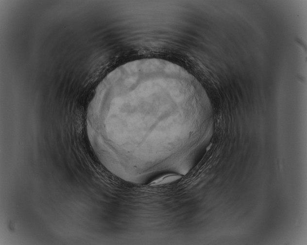 X0000093241012200710171436