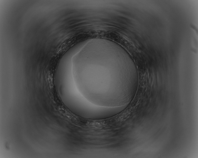 X0000093241013200710171436