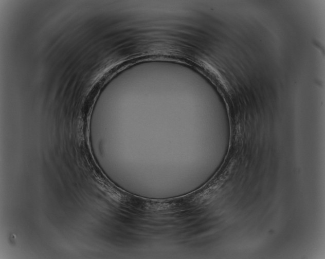 X0000093241019200710171436