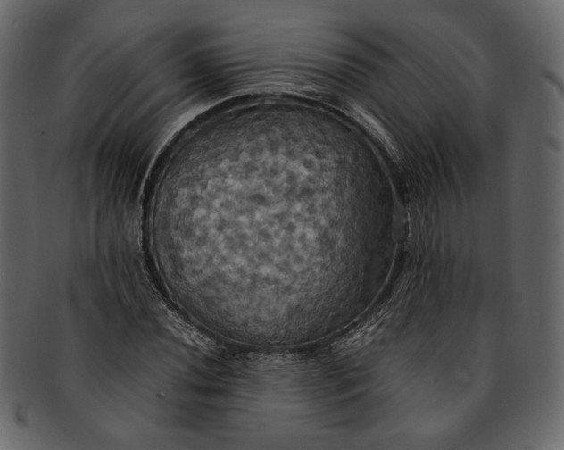 X0000093241020200710171436