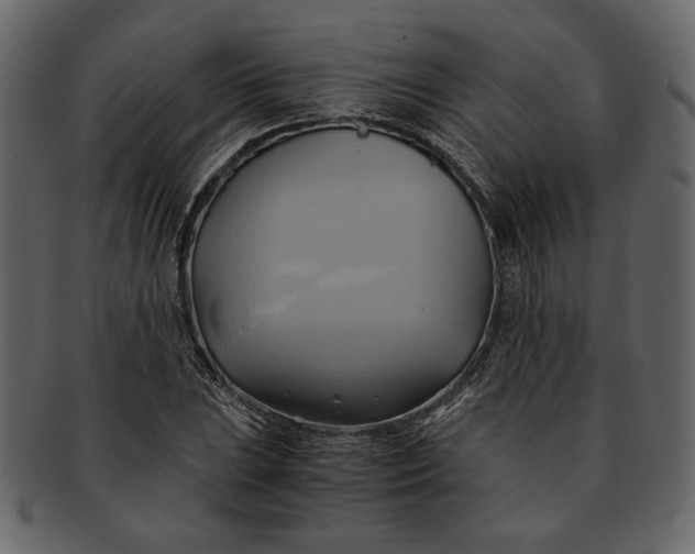 X0000093241023200710171436