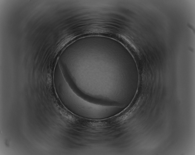 X0000093241025200710171436