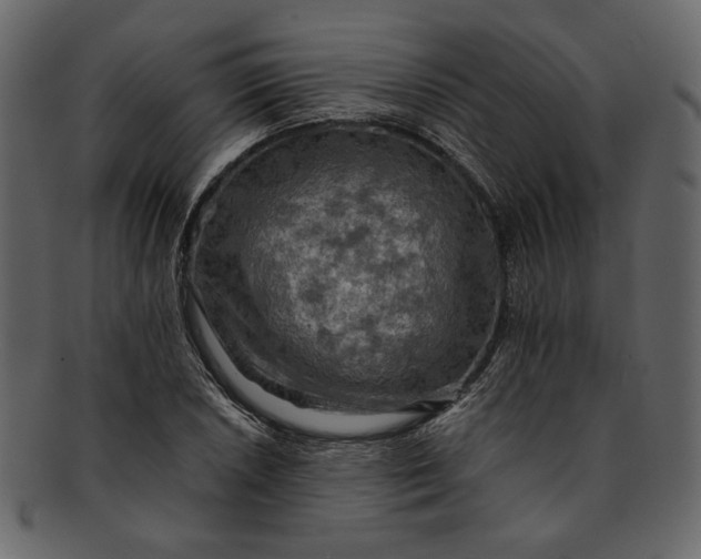 X0000093241026200710171436