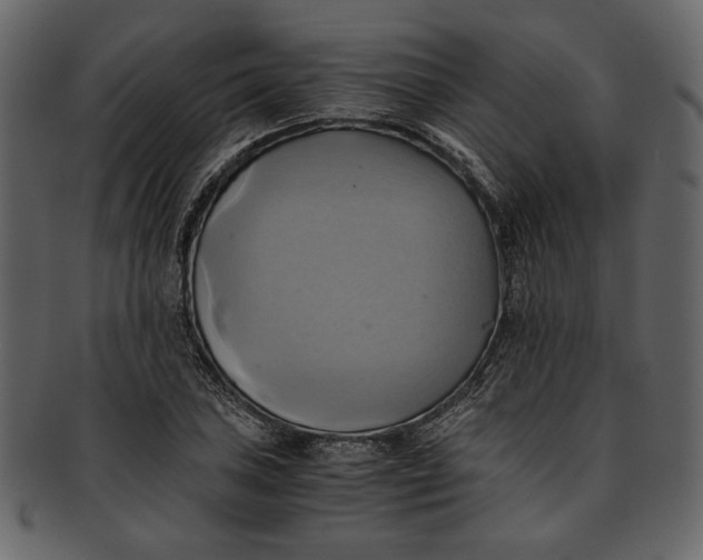 X0000093241027200710171436