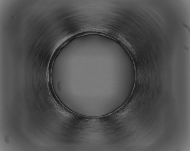 X0000093241028200710171436