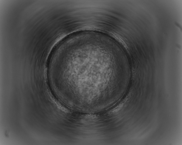 X0000093241029200710171436