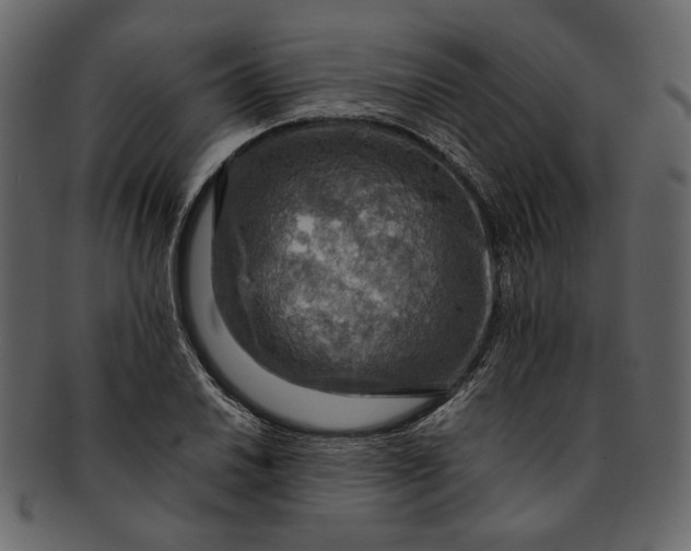 X0000093241030200710171436